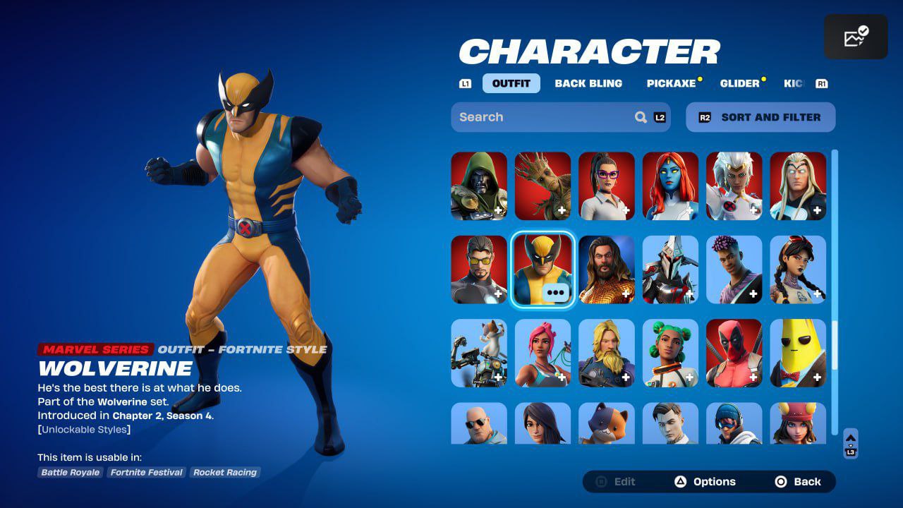 Fornite Acc Photo